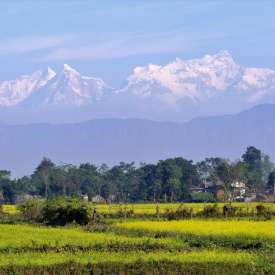 Sauraha Chitwan