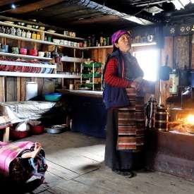 trek Kanchenjunga agence Terres du Nepal