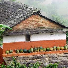 maison traditionelle