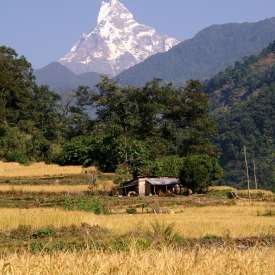 Machhapuchhare