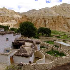 Village Mustang