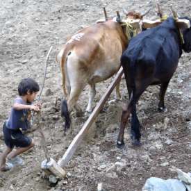 jeune garçon de Ramechhap