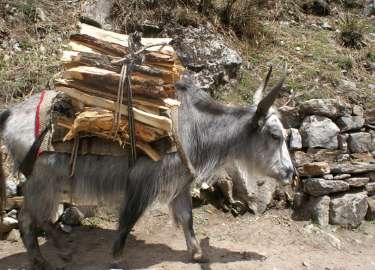 Langtang Gosaikund 13j